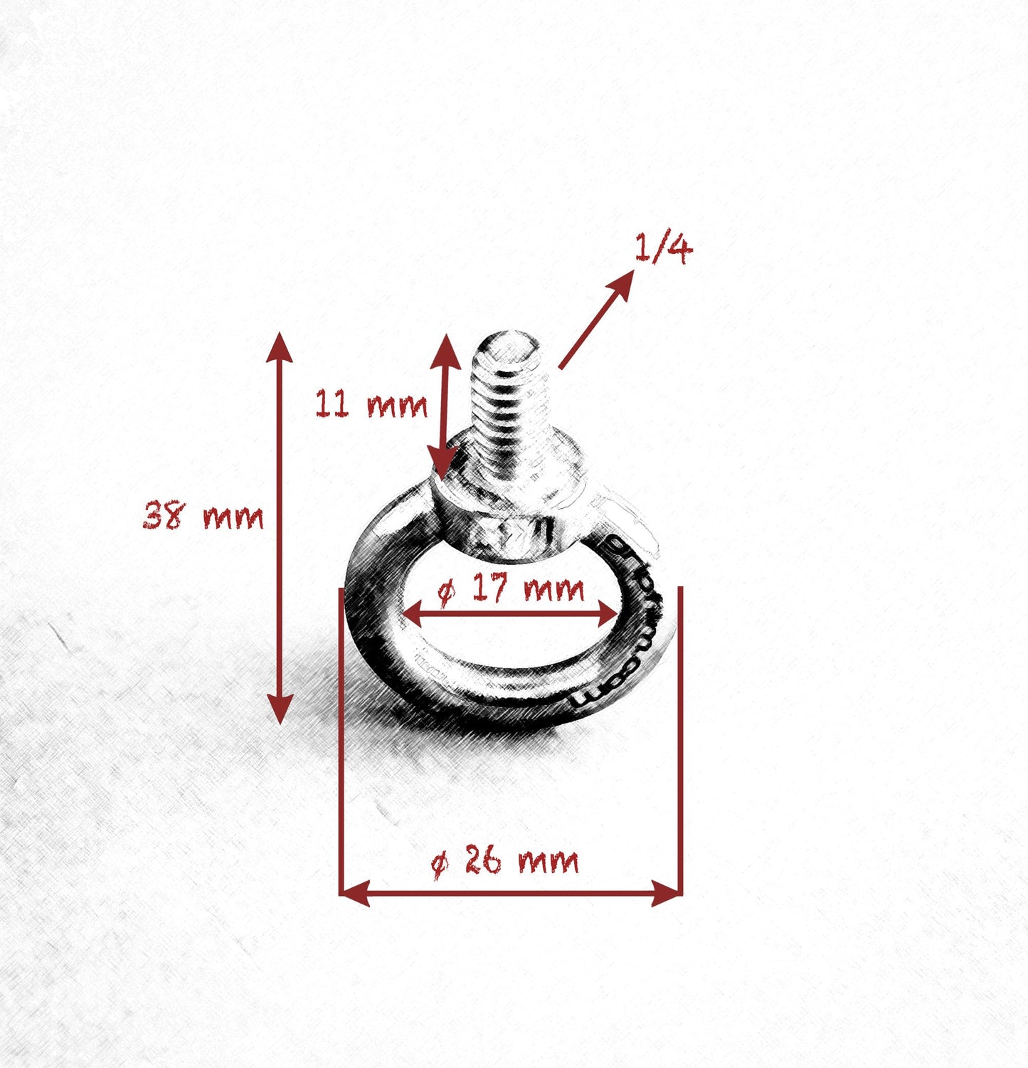 1/4 - 3/8 STAINLESS STEEL EYE BOLT SET - Grip Support Store