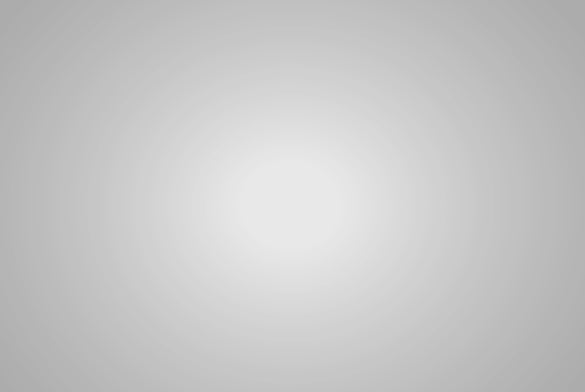 Lee Filters 432 Light Grid Cloth - 54" x 25' Roll - Grip Support Store