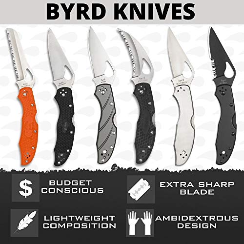 Lightweight Knife with 3.88" Stainless Steel - SpyderEdge