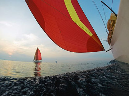 GoPro Suction Cup Mount - Grip Support Store