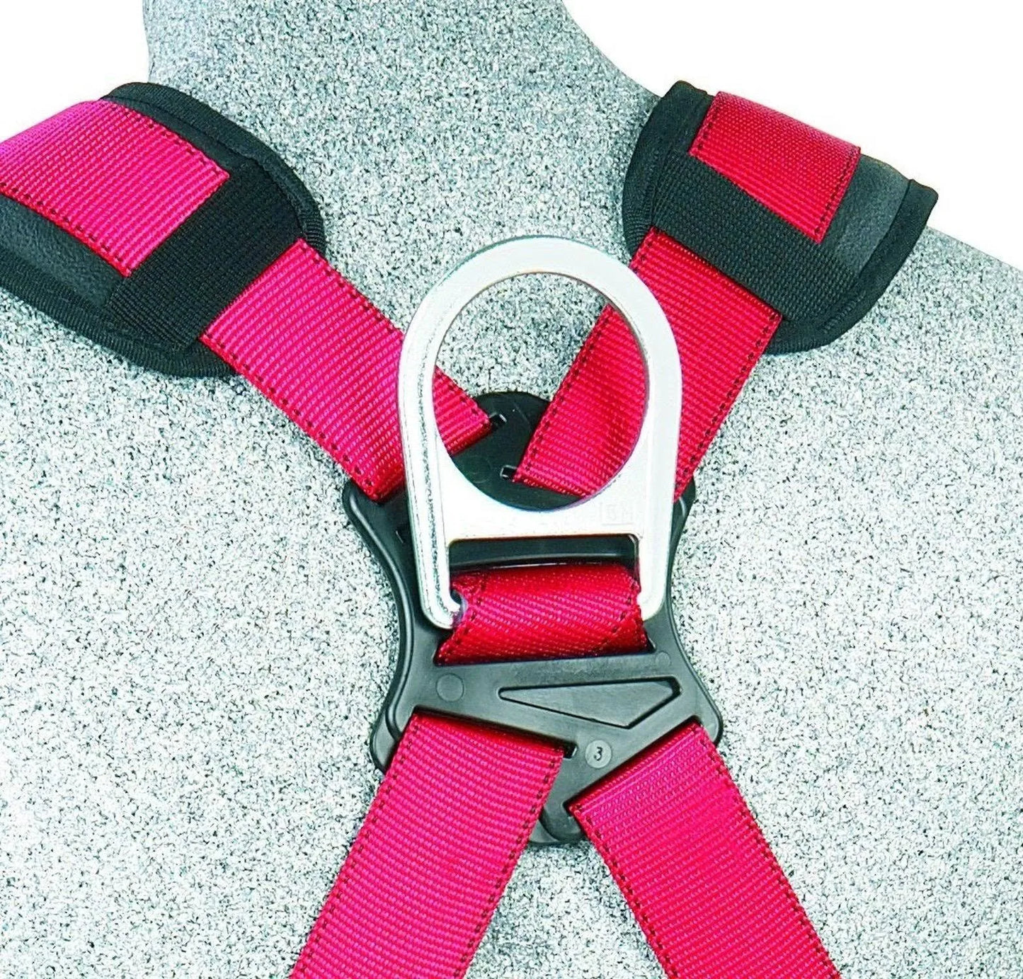 PROTECTA HARNESS W/ 3D RINGS